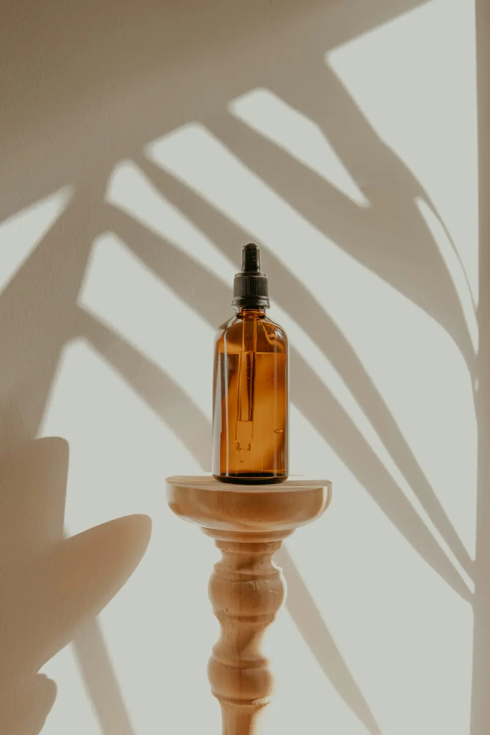 Ảnh minh họa botanical · chăm sóc thiên nhiên
