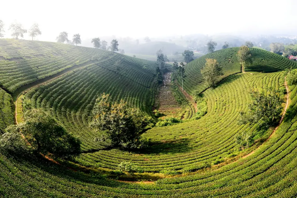 Ảnh minh họa nông sản, đặc sản