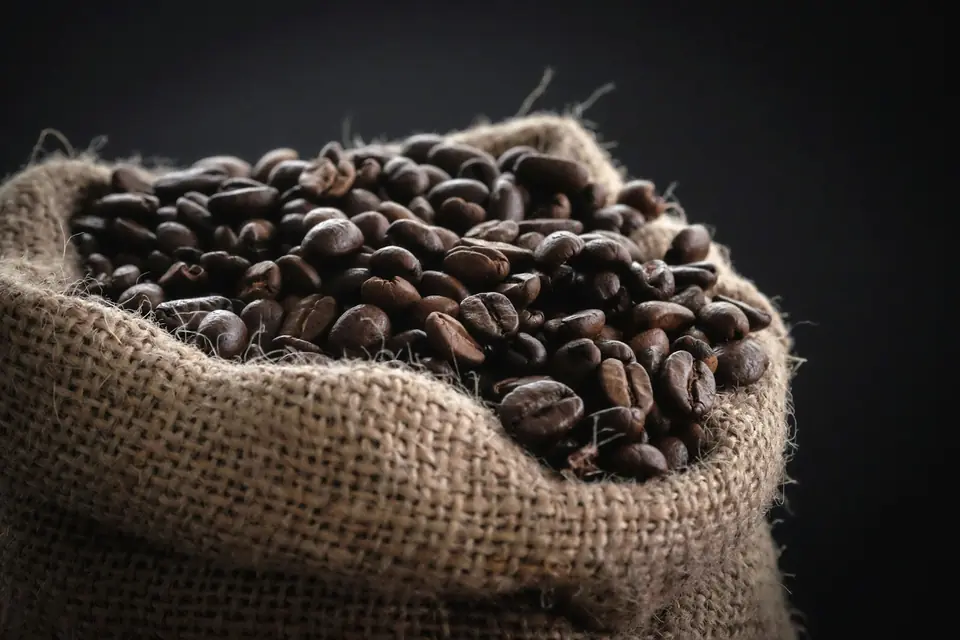 Cà phê Robusta rang mộc