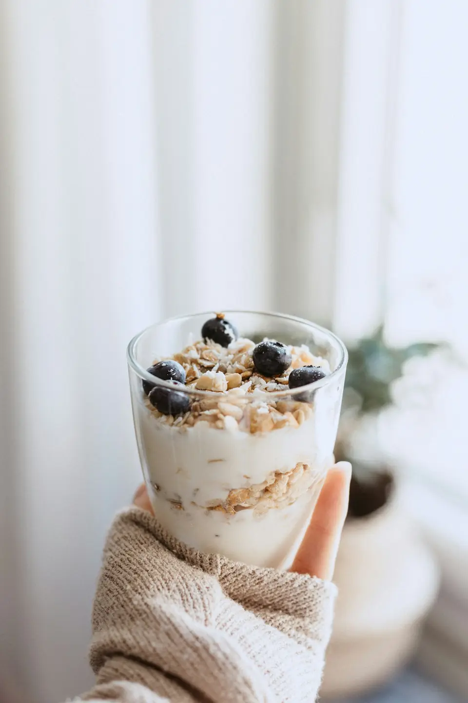 Sữa chua hạt granola