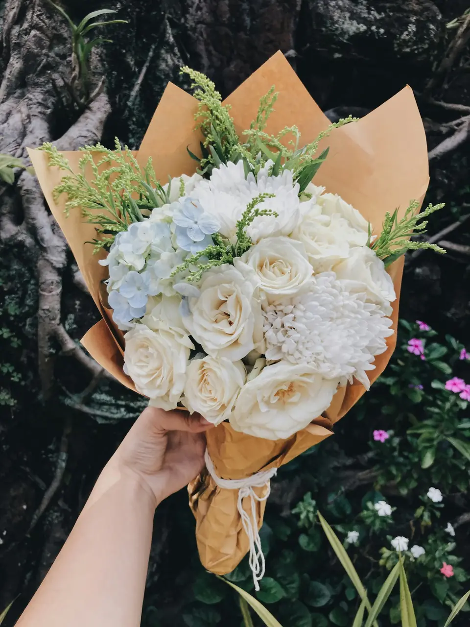 Bó cẩm tú cầu trắng