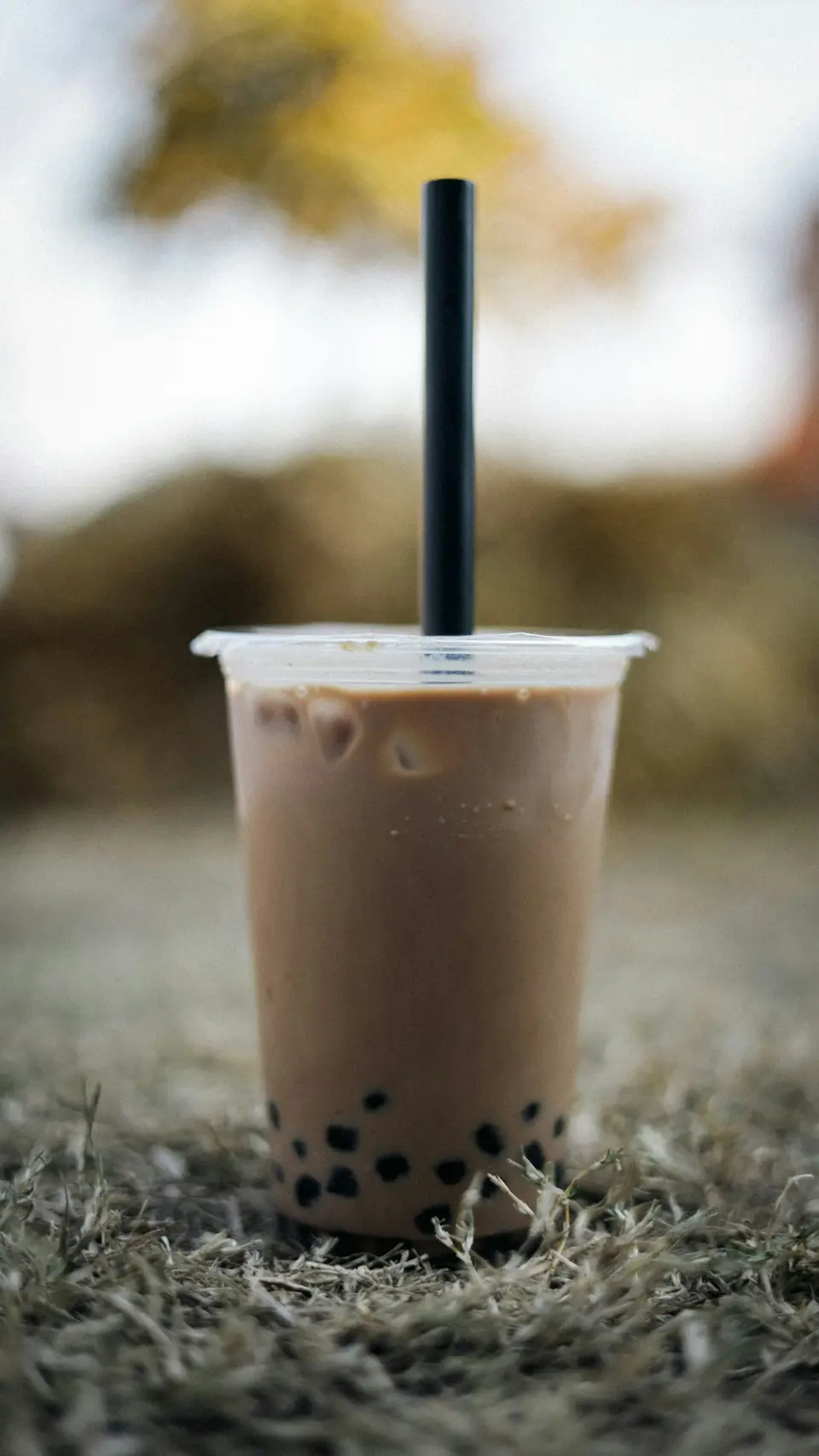 Trà sữa nướng
