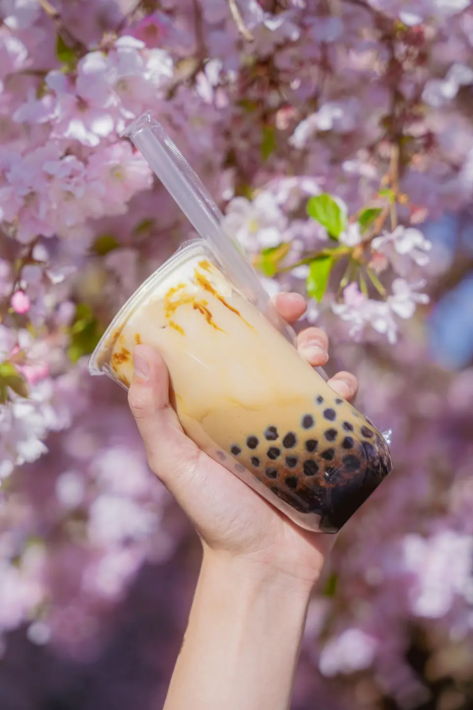 Sữa tươi kem cheese